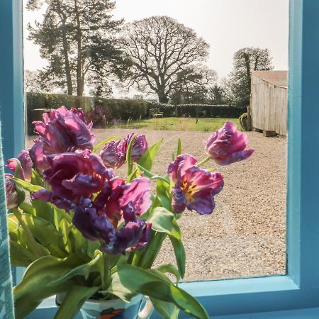 Foxglove Cottage York Luaran gambar